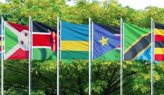 Thumbnail for Tanzania’s Adrian Raphael Njau appointed EABC’s CEO