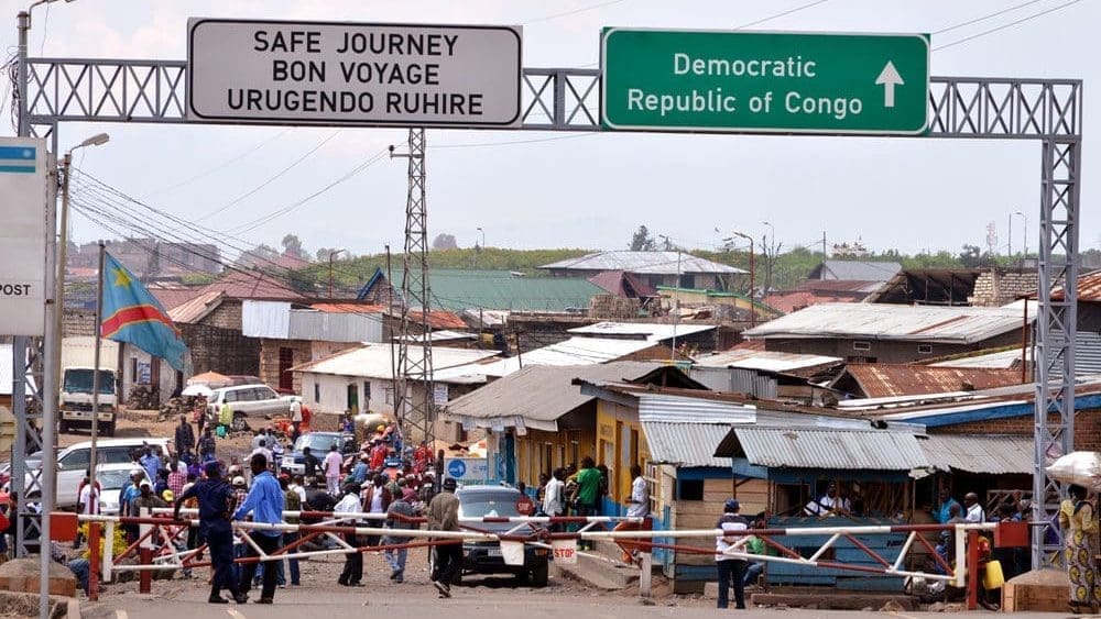 Thumbnail for Nigerian poultry industry faces imminent collapse amidst soaring feed costs