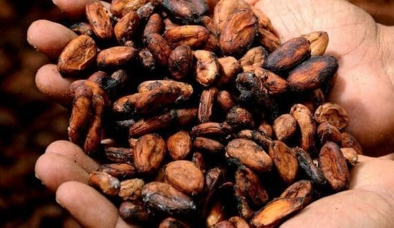 Thumbnail for EAC businesses flock attractive Kenyan market