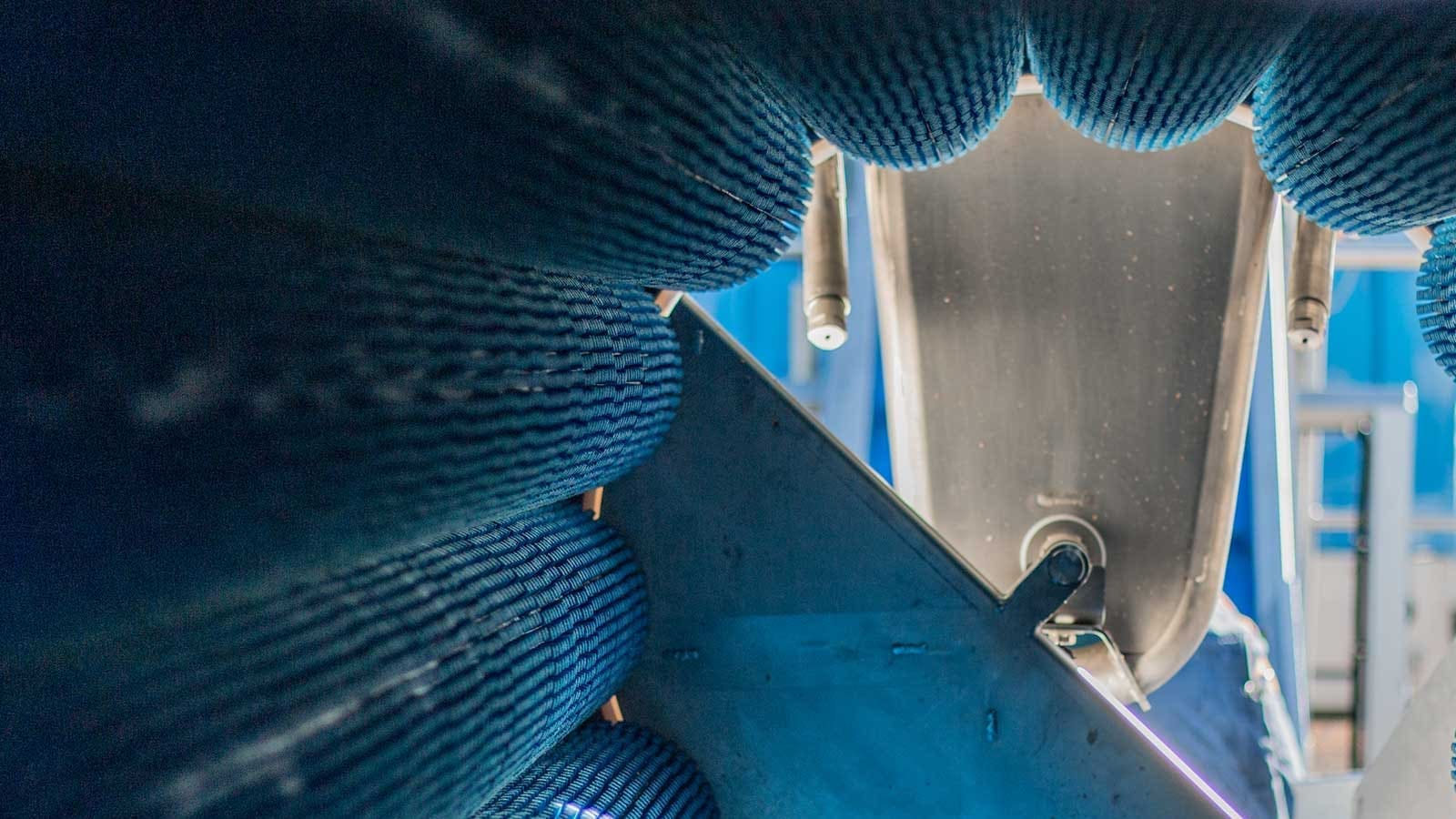 Thumbnail for South Korea launches Bio Future Food Industry Association