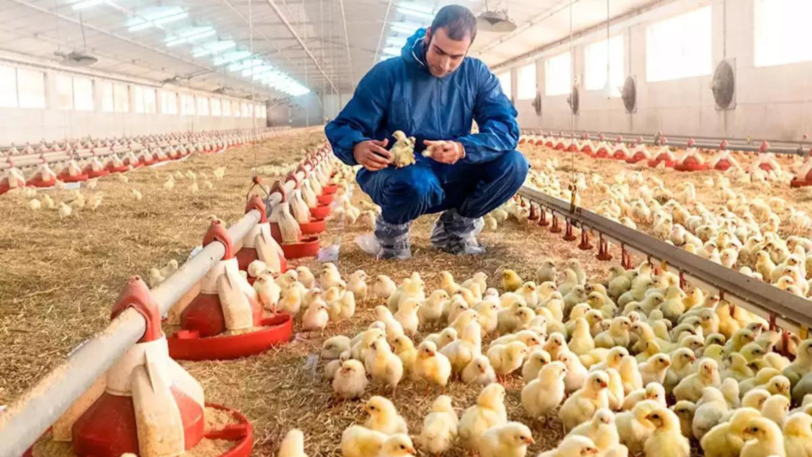 Thumbnail for Beyond Meat in debt restructuring talks amid financial struggles