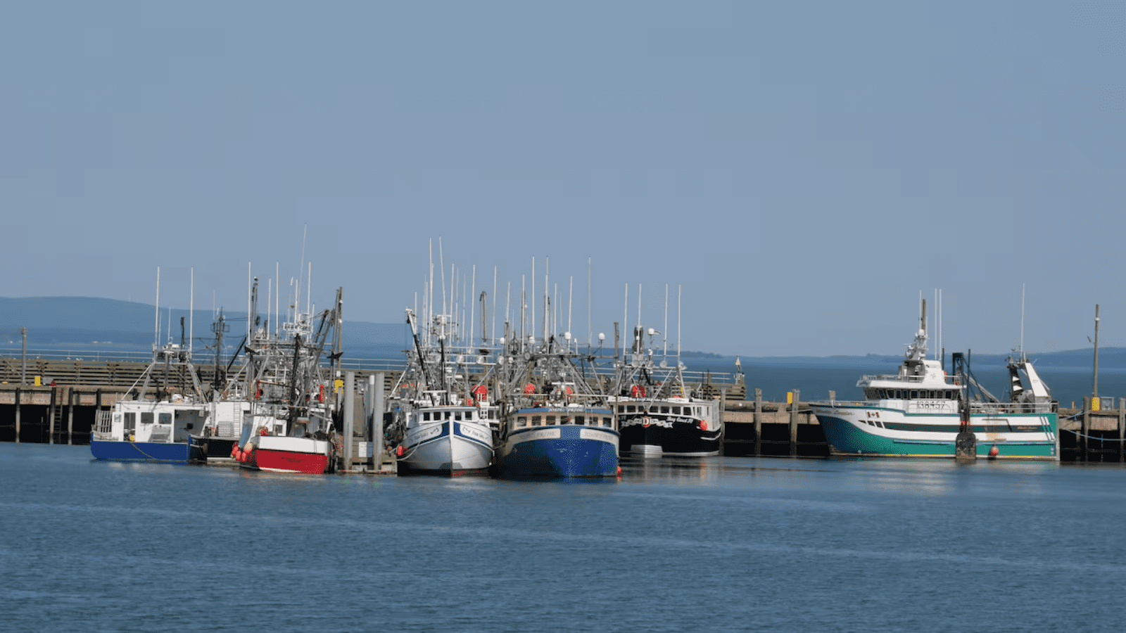 Thumbnail for Nigerian poultry industry faces imminent collapse amidst soaring feed costs