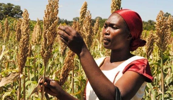 Thumbnail for CCBA names Josphat Mwangi as General Manager of Coca-Cola Beverages Zambia 