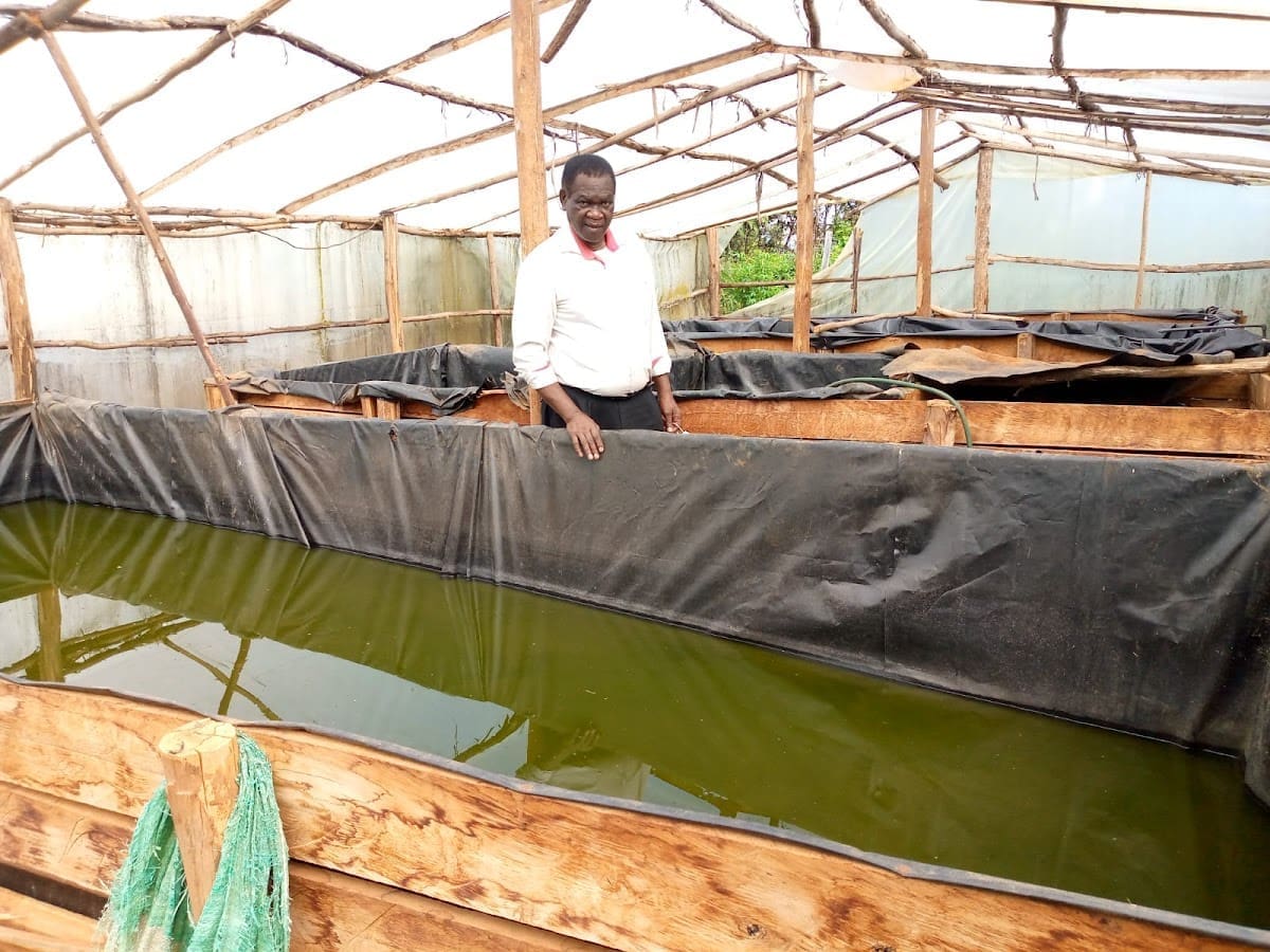 Thumbnail for Hatch Africa secures US$9.5M investment to support rural Africa’s poultry industry