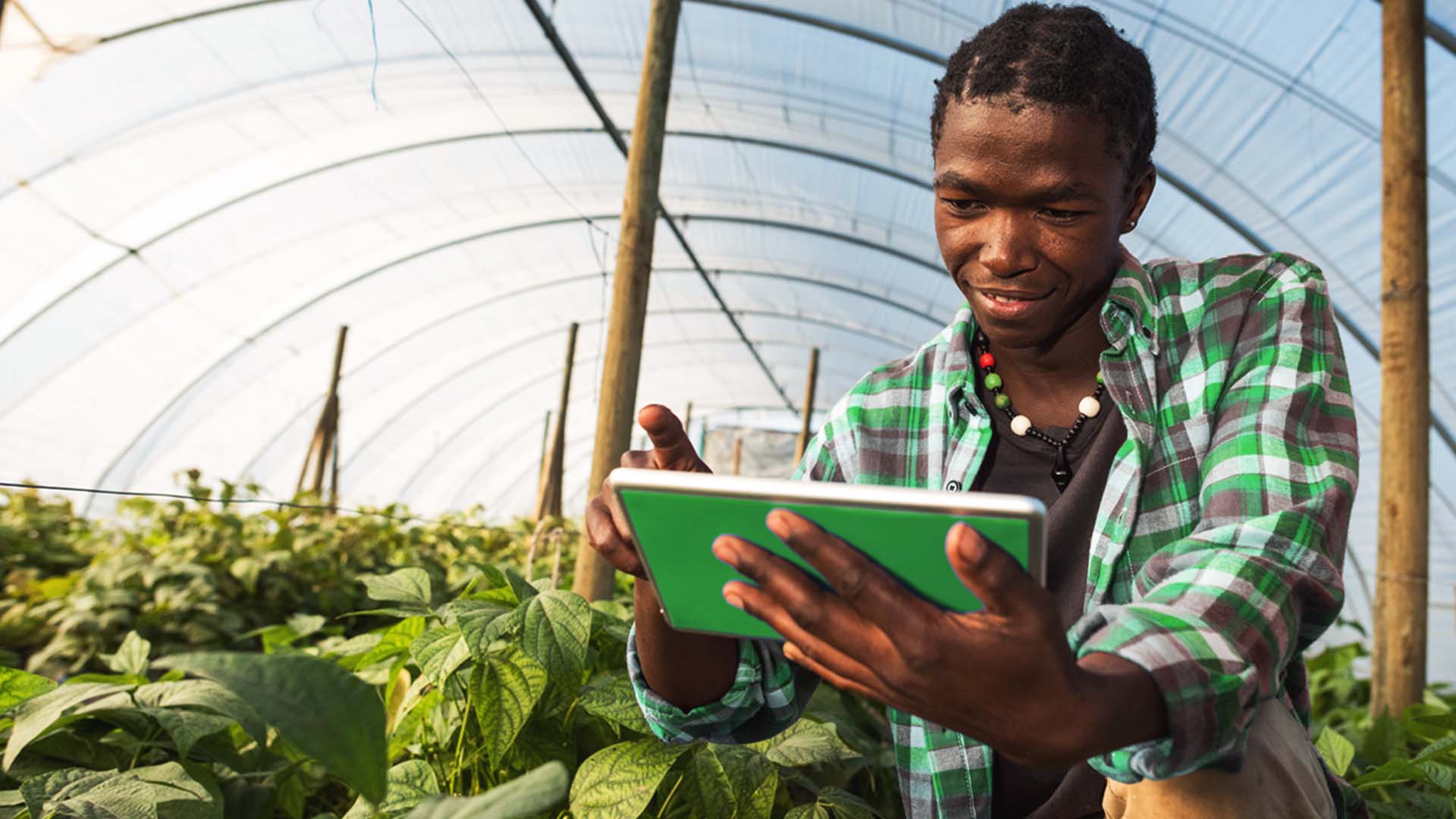 Thumbnail for AB InBev to invest US$7M in US brewery  