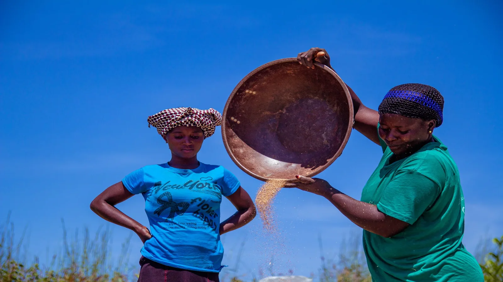 Thumbnail for Mali partnership targets global gluten-free market with sustainable West African crop