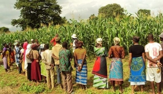 Thumbnail for Burger King India operator reports 15th consecutive quarterly loss