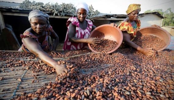 Thumbnail for Bookings Open for AFMASS Food Manufacturing Expos 2025