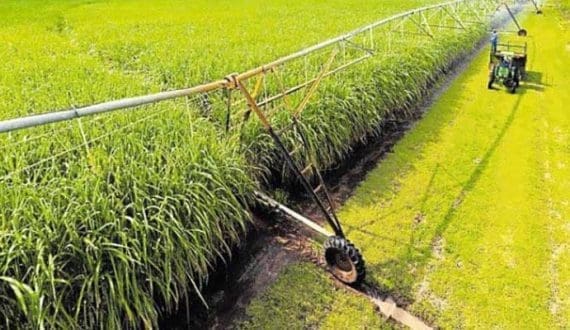 Thumbnail for Zimbabwe sugar millers appeal High Court ruling on revenue-sharing model