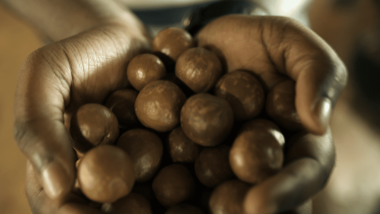 Thumbnail for Kenya Nut Company targets 10 licensed products by Q4 2024