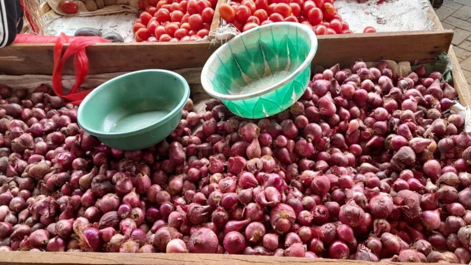 Thumbnail for Nigeria’s onion exports to neighbours top 1.6M bags, but go unrecorded