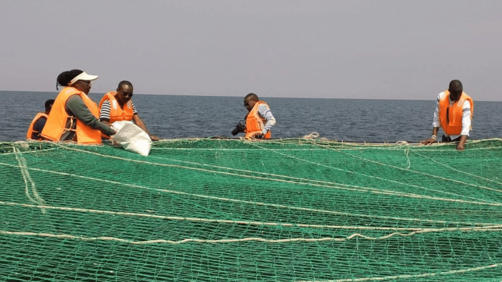 Thumbnail for Tanzanian government promises to investments in livestock, Fisheries