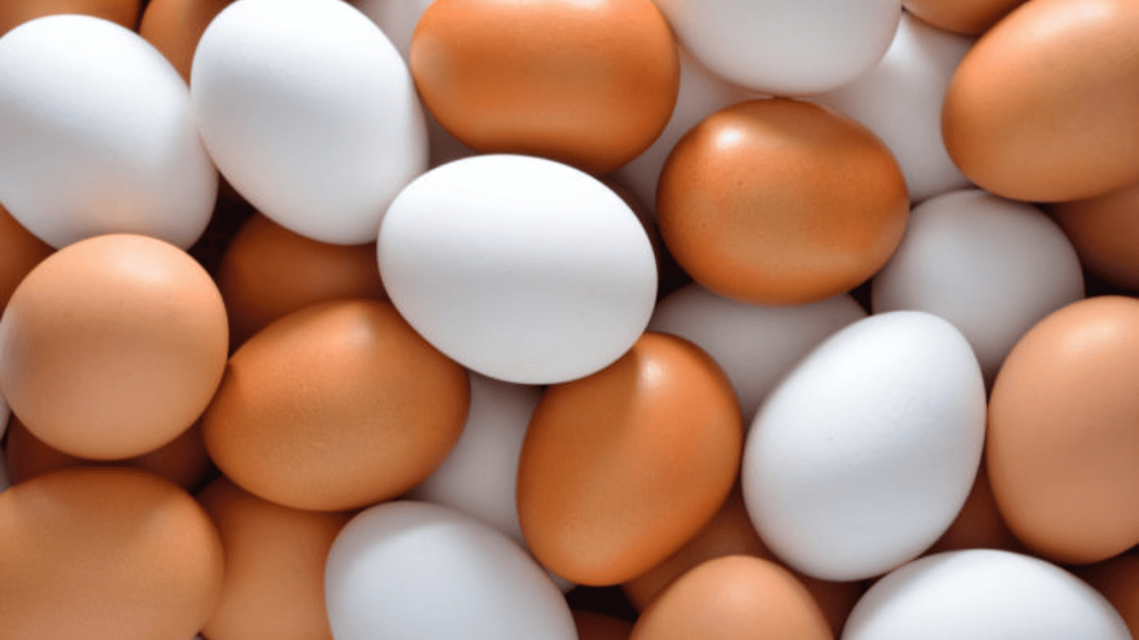 Thumbnail for Daybreak Foods expands outreach with career fairs