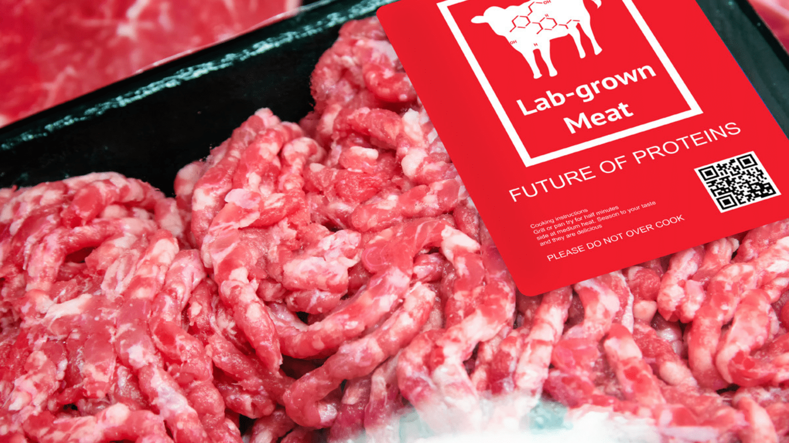 Thumbnail for Upside Foods challenges Florida’s ban on cultivated meat