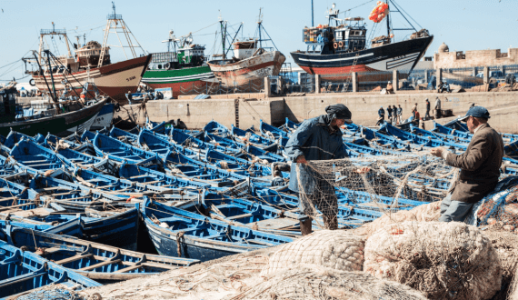 Thumbnail for Danstar Ferment acquires Turkey’s first and only domestic industrial enzyme producer