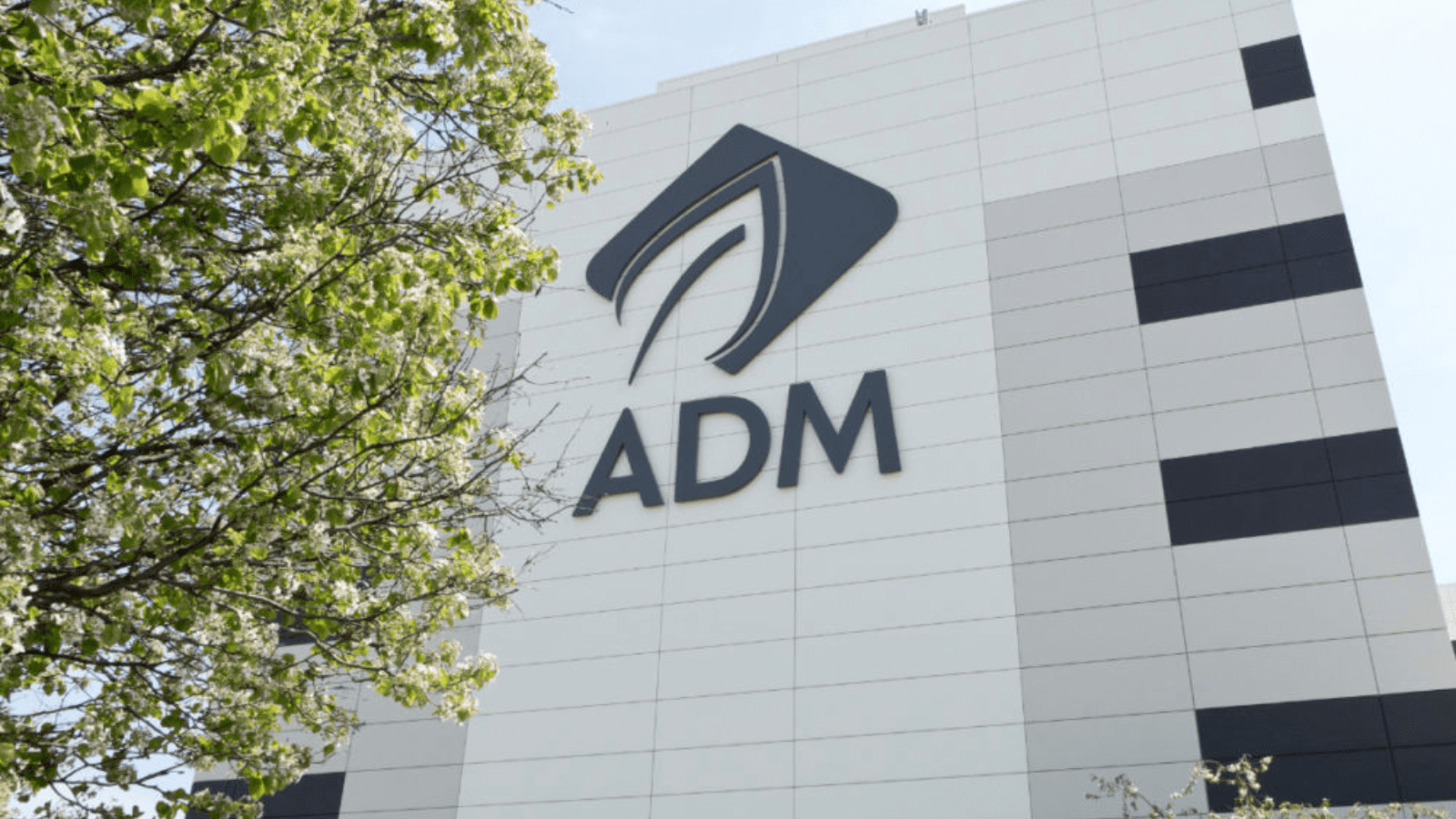 Thumbnail for Scotch whisky exports drop by double digits in H1 2024, industry urges government support