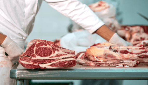 Thumbnail for Jungbunzlauer launches construction of US$148M xanthan gum plant in Ontario