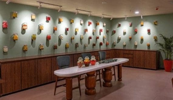 Thumbnail for Heineken strengthens path to net zero with new partnerships 