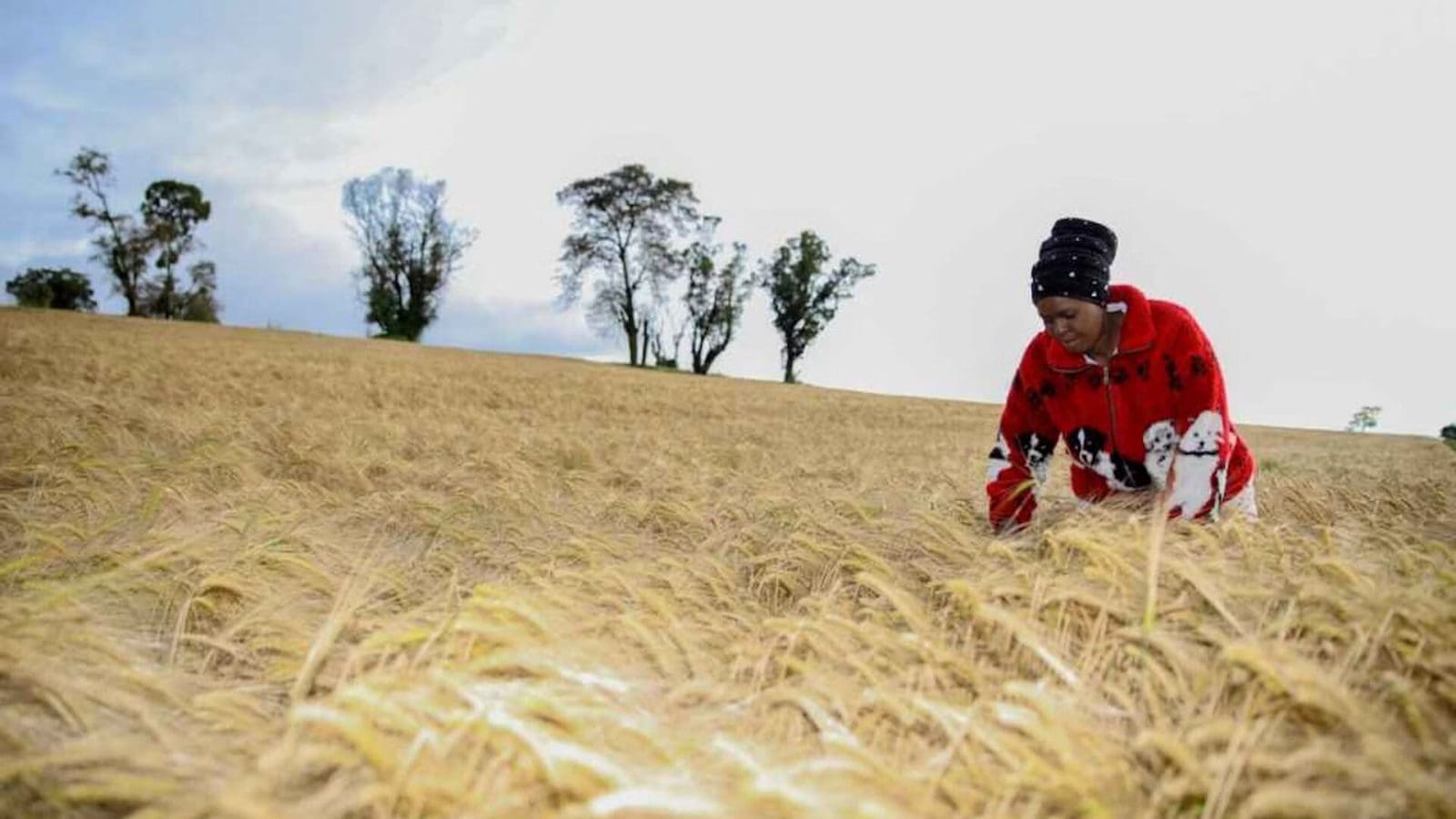 Thumbnail for Monster Energy expands non-carbonated portfolio with launch of Rehab Monster Green Tea