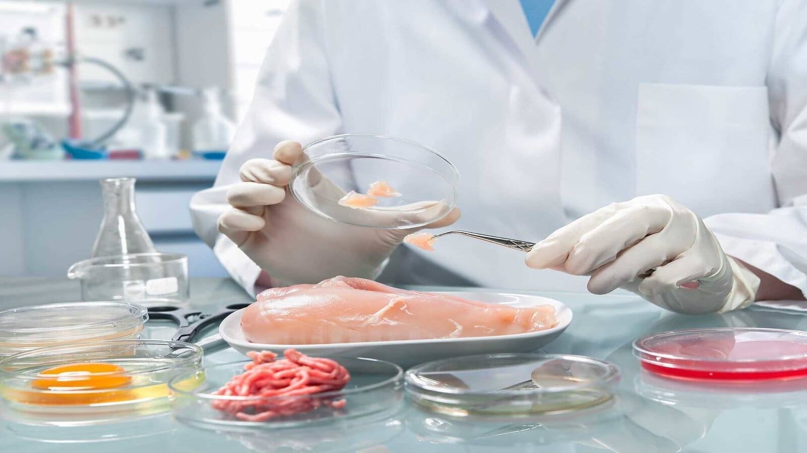 Thumbnail for Mérieux NutriSciences to acquire Bureau Veritas’ global food testing business