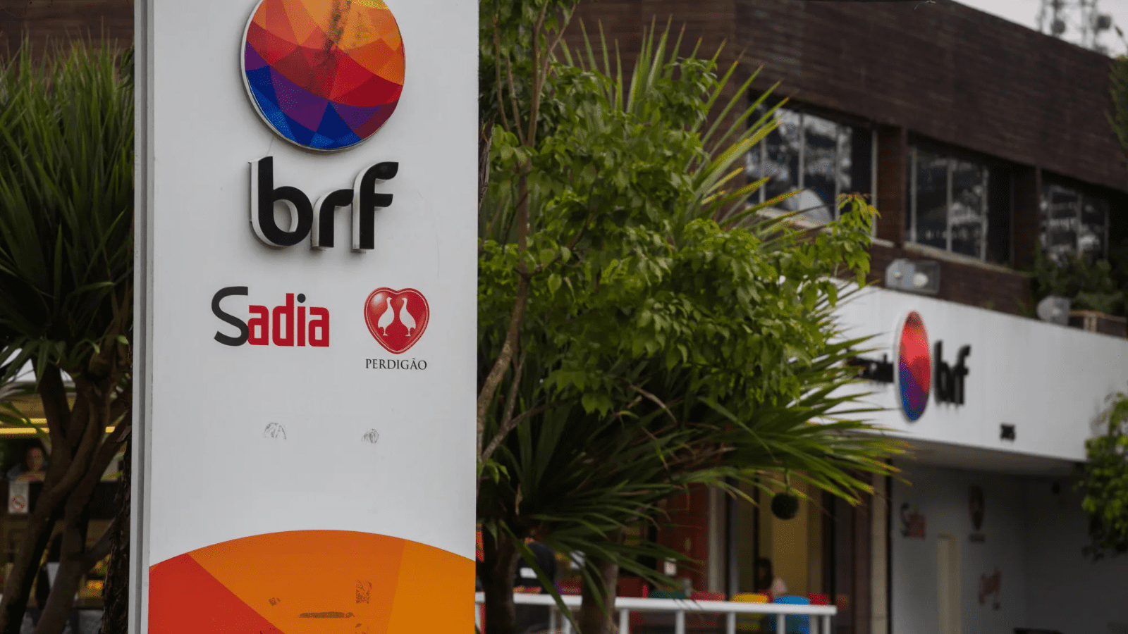 Thumbnail for Cameroon recalls Serrano ham over Listeria contamination alert