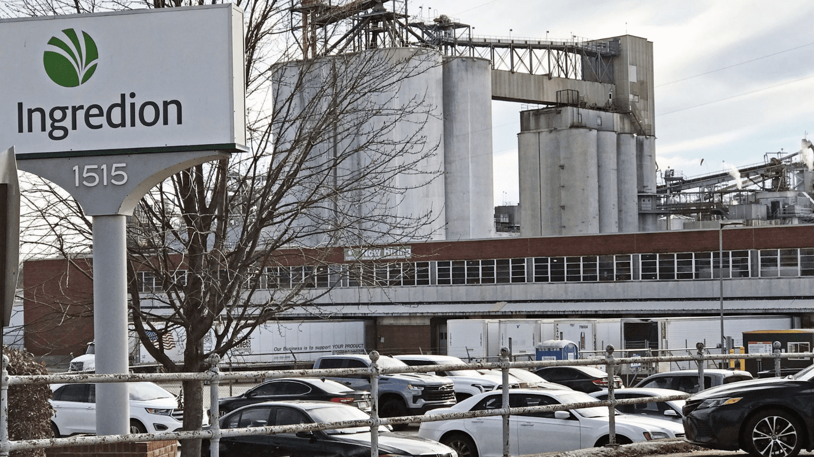 Thumbnail for Ingredion continues steady financial performance