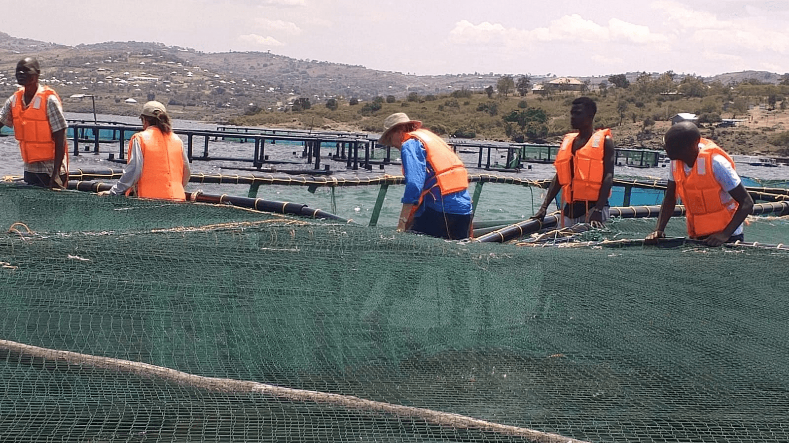 Thumbnail for FriGol reports growth in revenue, exports in Q3 2024