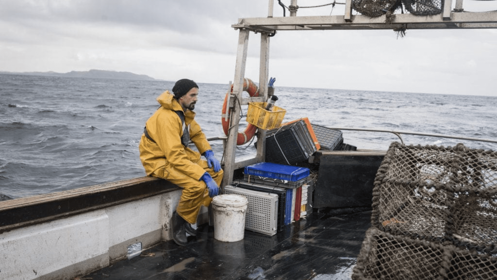 Thumbnail for Freight Farms appoints Brad Griffith as new CEO to spearhead growth