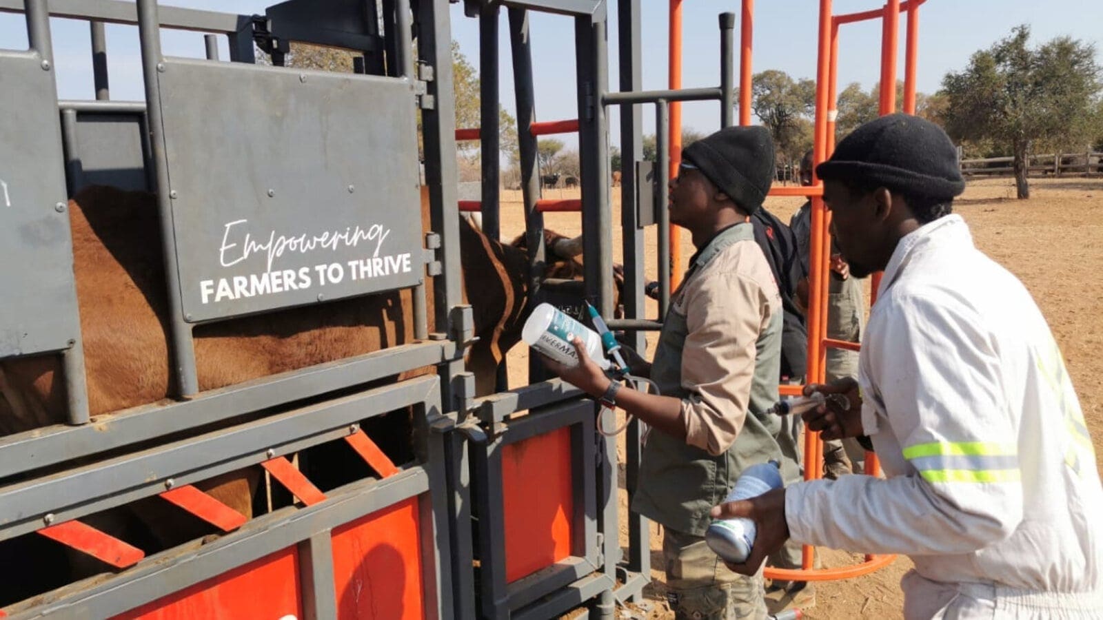 Thumbnail for Senegal establishes US$100M aquaculture center in Kolda Region