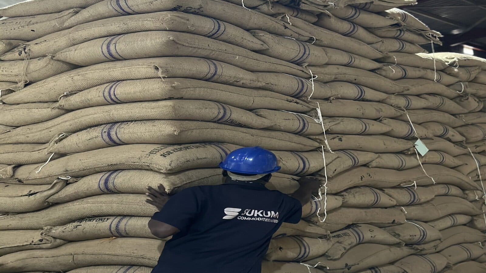 Thumbnail for South Africa’s sugarcane harvest falls short amid drought, impacting exports and industry resilience