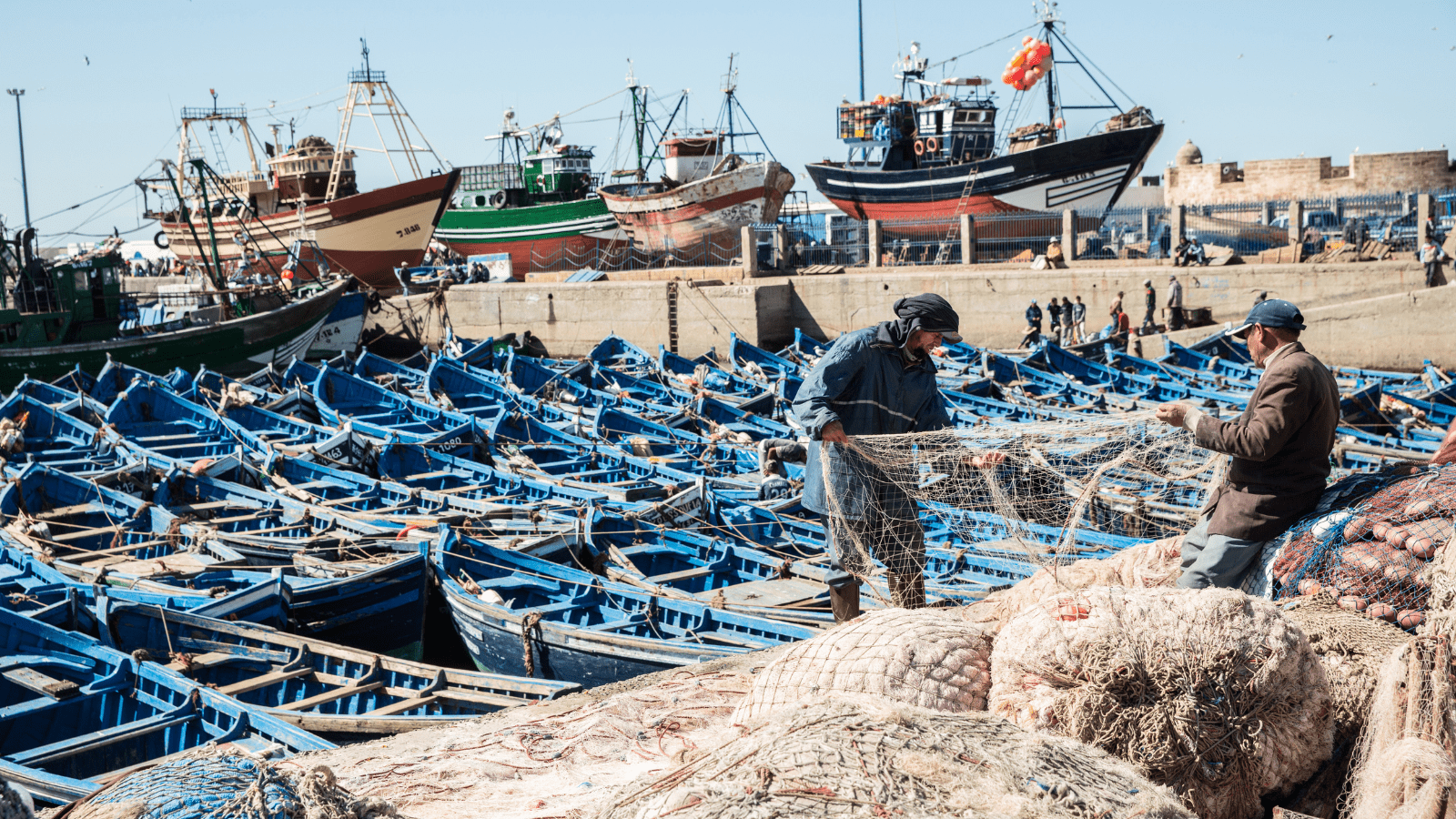 Thumbnail for Uganda adopts National Coffee Amendment Bill 2024 into law