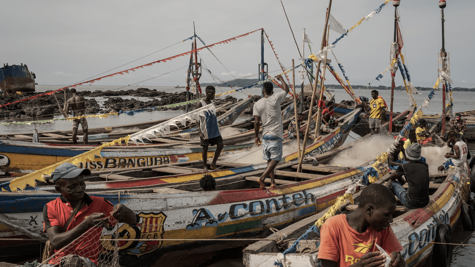 Thumbnail for Crysp Farms partners Alesca Technologies to deploy 500 modular vertical farms in Middle East