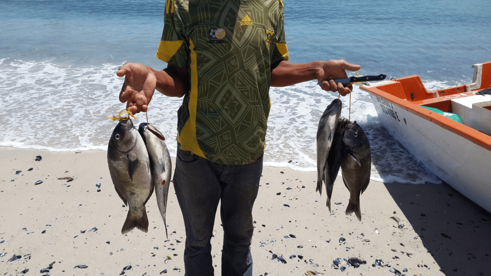 Thumbnail for Helios Investment Partners buys 49% shares in Raya Foods worth US$40M