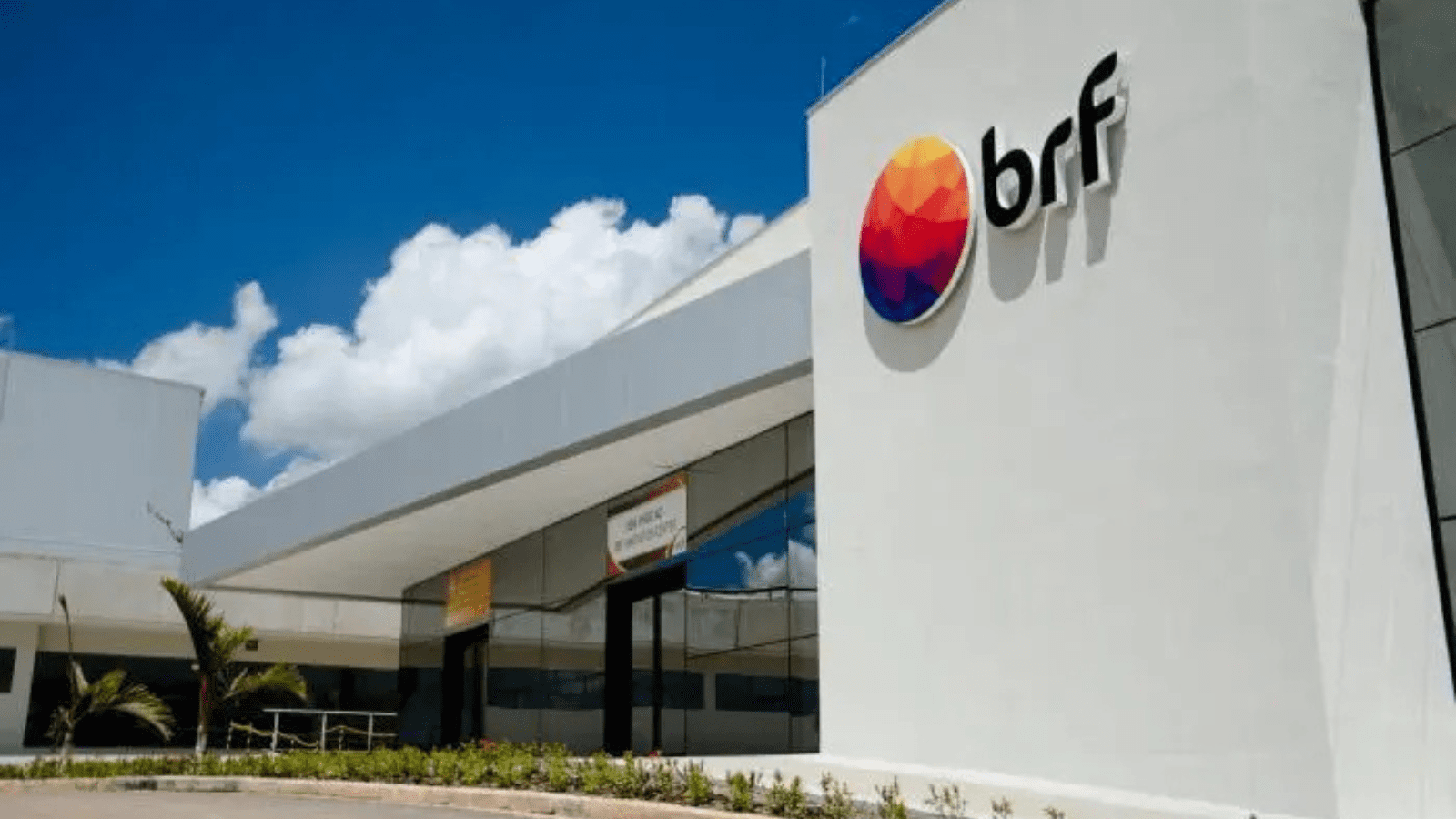 Thumbnail for Minerva Foods secures approval to export beef to the US