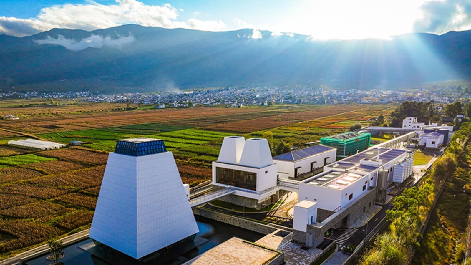 Thumbnail for South Africa reports 23 deaths from food poisoning, adopts mechanism of reporting and tracking