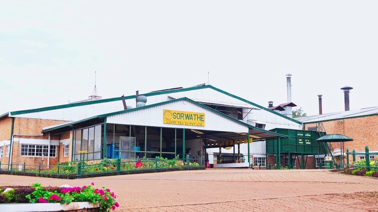 Thumbnail for Starbucks China appoints Tony Yang as first Chief Growth Officer amid market challenges 