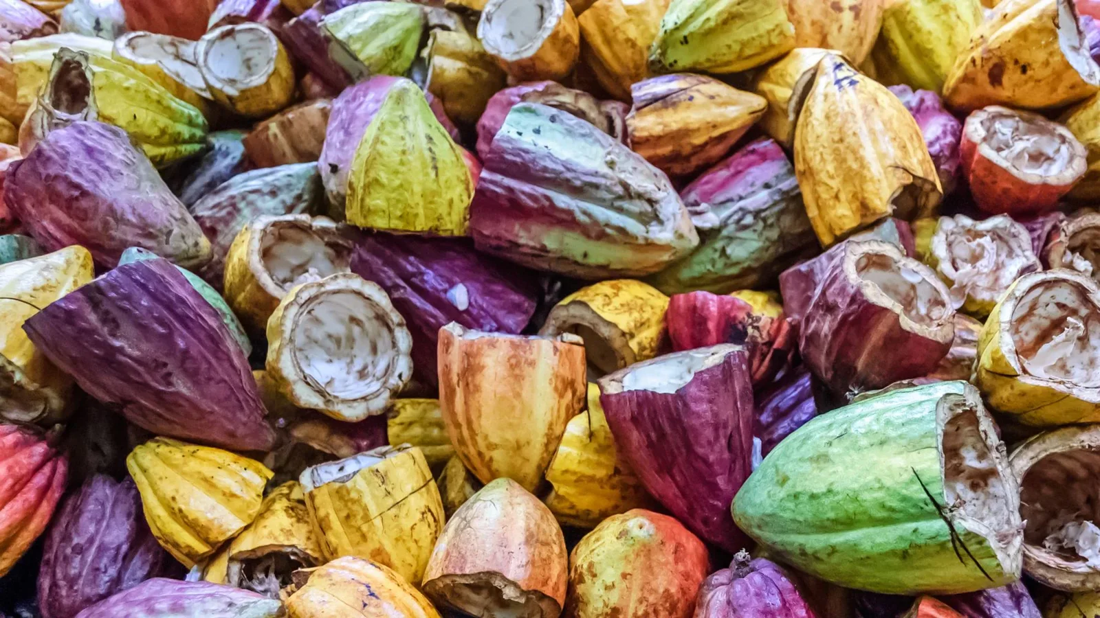 Thumbnail for Mega Beverages celebrates 20 years with special-edition K-Vant premium spirit