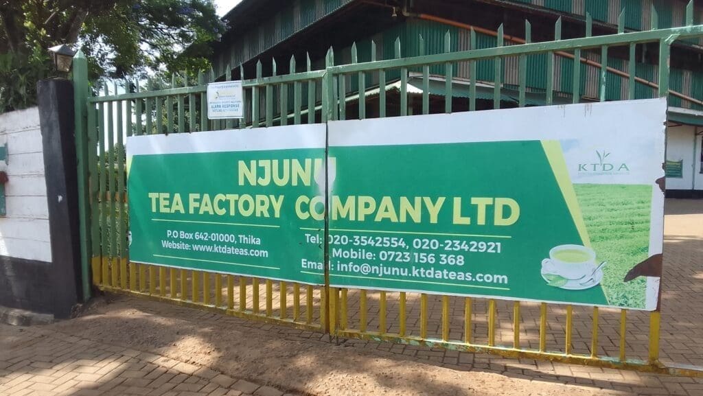 Thumbnail for Tate & Lyle unveils “The Future of Mouthfeel” report highlighting industry trends