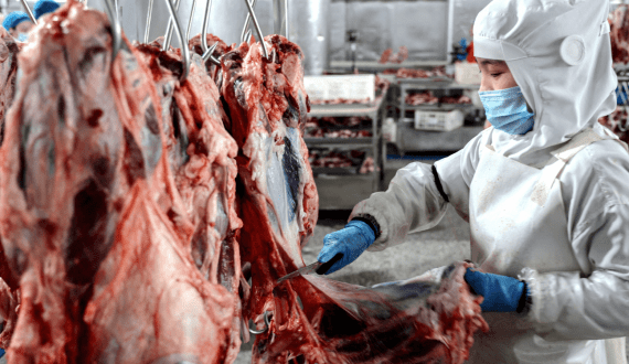 Thumbnail for Louis Dreyfus acquires BASF’s Food and Health Ingredients business