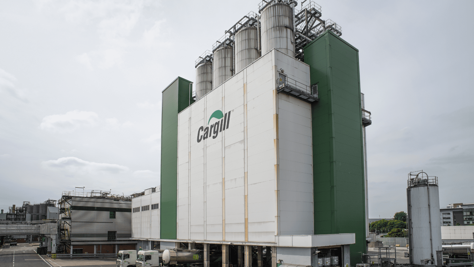 Thumbnail for Tim Hortons plans expansion in Canada as population boom, aims 30 sites in Panama by 2034