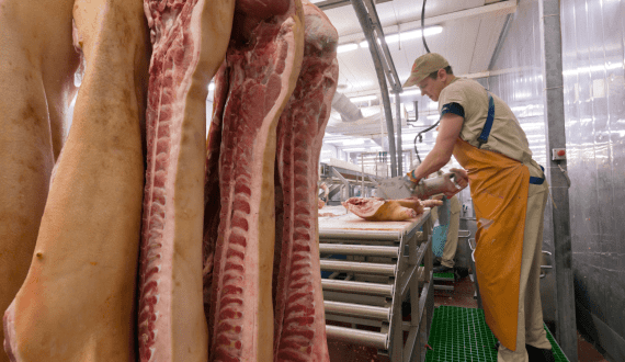 Thumbnail for Ingredion Inc. to shut down Canadian plant protein facility