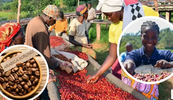 Thumbnail for Kenya to proceed with plan to lease state-owned sugar mills amid workers’ protests