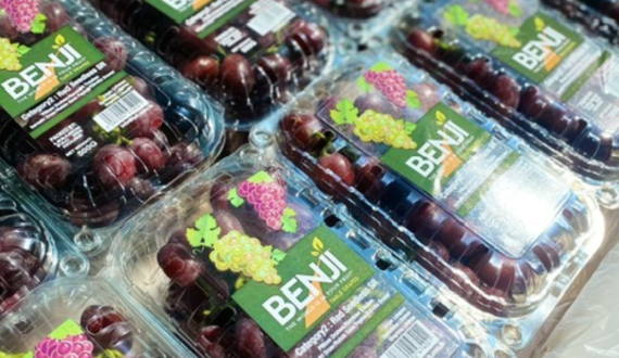 Thumbnail for FreshCap introduces direct flower shipments with new packaging for global consumers