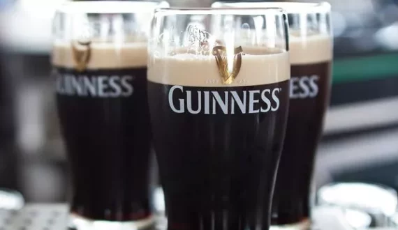 Thumbnail for AGF Freezers opens new office in Egypt’s new Cairo district