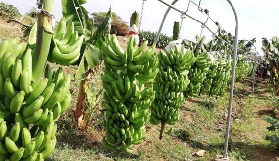 Thumbnail for Walmart introduces AI assistant to streamline merchandising tasks