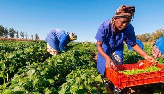 Thumbnail for HMM, JNPA collaborate on India’s ambitious Vadhvan Port project