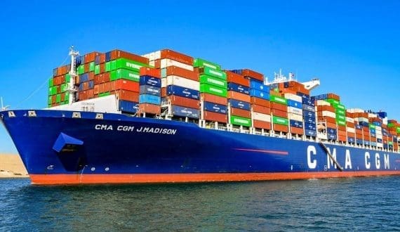 Thumbnail for Smithers-Oasis launches new plant-based floral foam