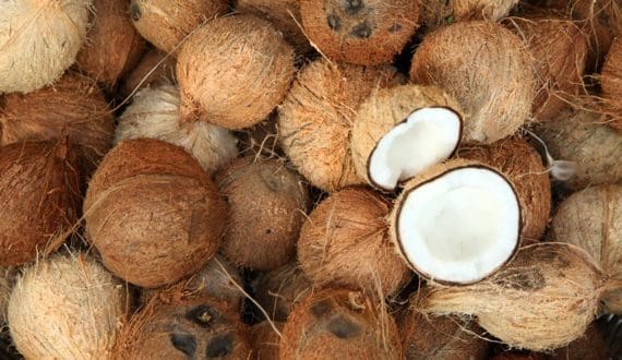 Thumbnail for Côte d’Ivoire opens USD 15.8M cashew processing plant