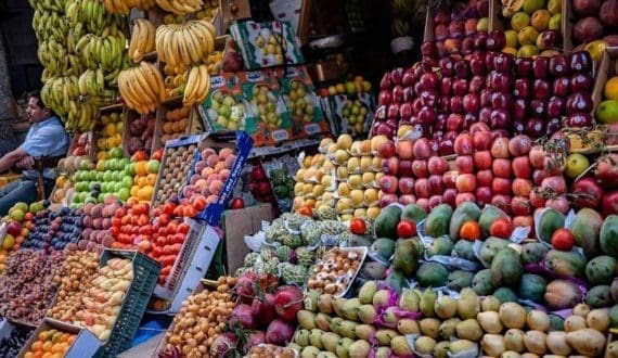 Thumbnail for Kenyan horticulture sector grapples with shrinking global market share