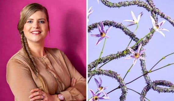 Thumbnail for Senegal suspends onion imports to boost domestic sales